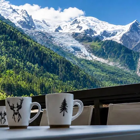 7p Flat With Balcony & Parking Chamonix